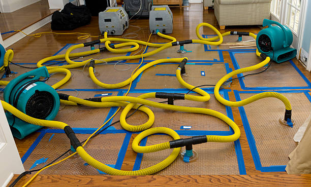 Professional Emergency Water Removal technician working in Grantsburg, WI